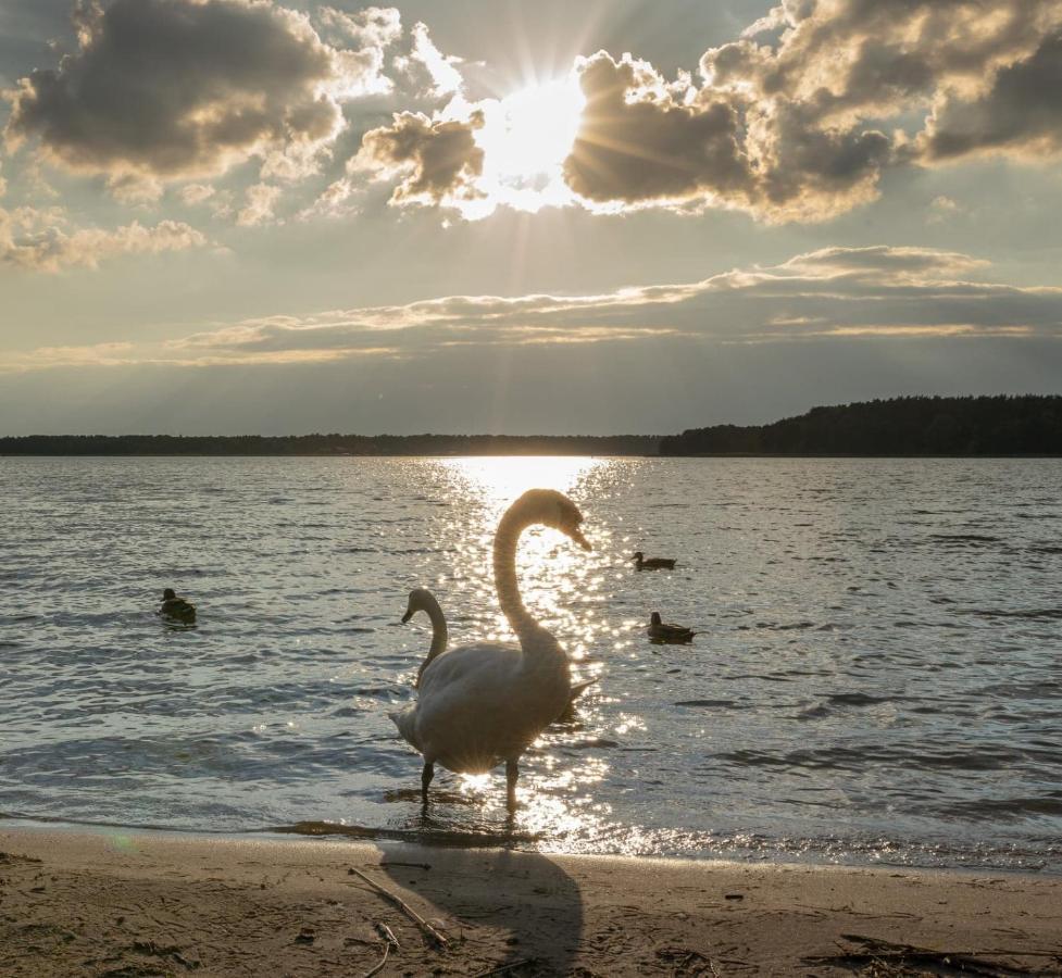 Apartament Augustow Swan Eksteriør bilde